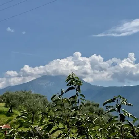 Alloggio Turistico Molu * Gavazzo Nuova