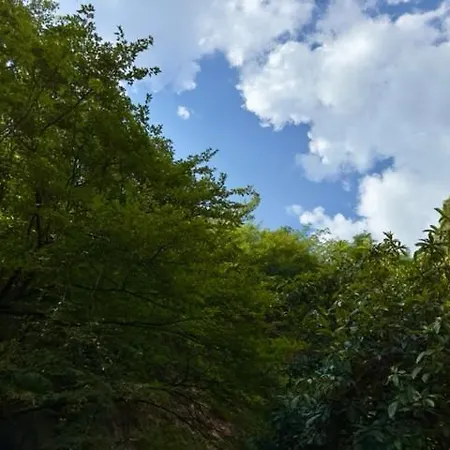 Δωμάτια σε οικογενειακή κατοικία Alloggio Turistico Molu